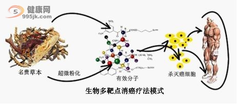 生物多靶点消癌疗法模式