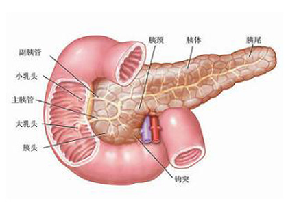 胰腺癌症状