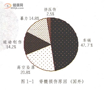 脊髓损伤的原因