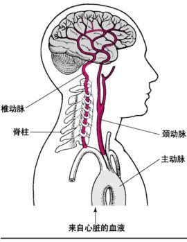 什么人容易得癫痫病