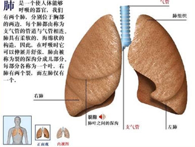 肺癌晚期临终前症状权威解析