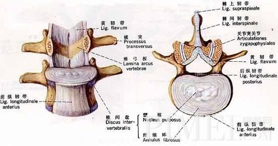 截瘫可以治疗吗?