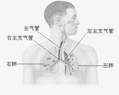 肺癌的病因有哪些?