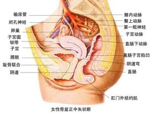 直肠良性瘤怎么治疗?