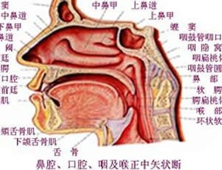 鼻咽癌的并发症有哪些