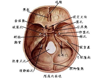 脑膜瘤有什么特点