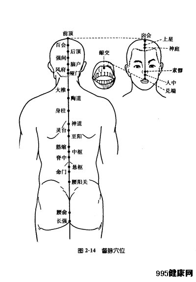 督脉穴位