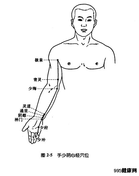 手少阴心经穴位