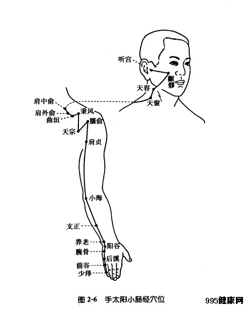 手太阳小伤经穴位