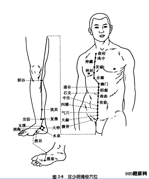 足少阴肾经穴位