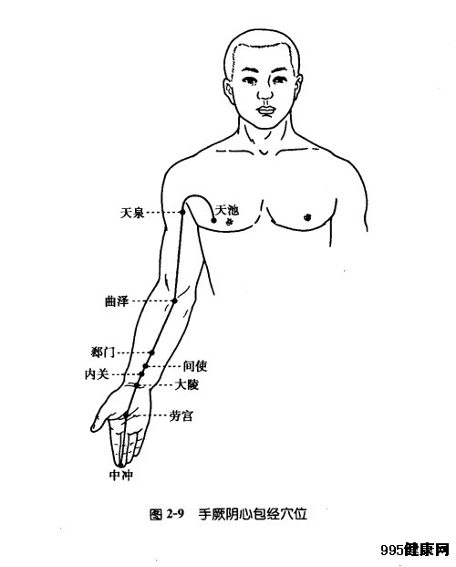 手厥阴心包经穴位