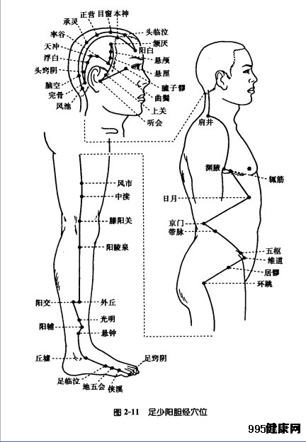 足少阳胆经穴位